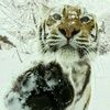 just_me76